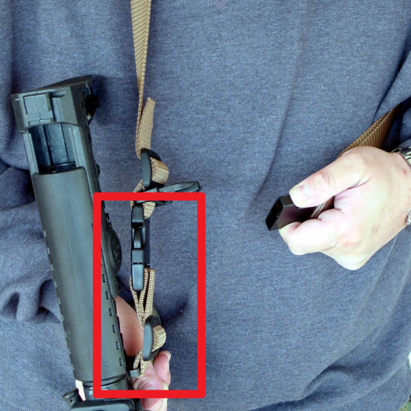 Detail of the SPQD.