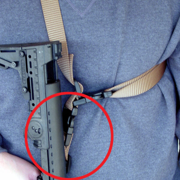 Detail of the SPQD.